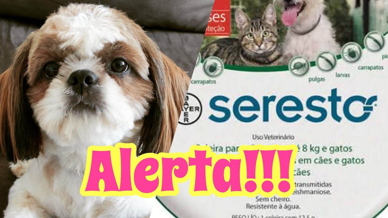 Coleira SERESTO causa intoxicação em animais?