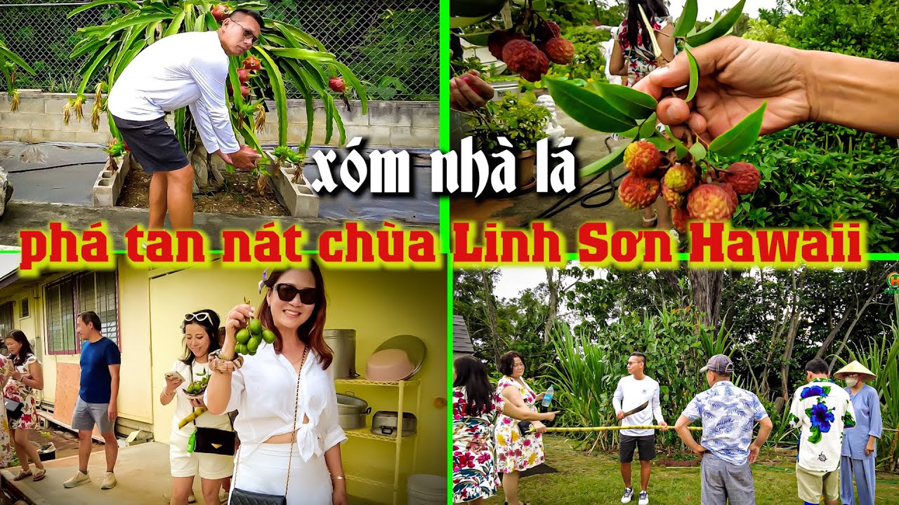 xóm nhà lá phá tan nát chùa Linh Sơn Hawaii