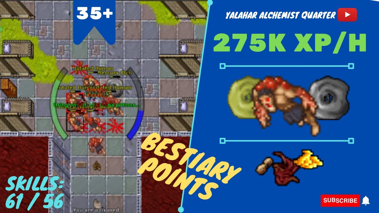 EK SOLO lvl 35+ (35 AO 50) 275K XP/H SKILLS 61/56 - TIBIA HUNT - Yalahar Alchemist Quarter
