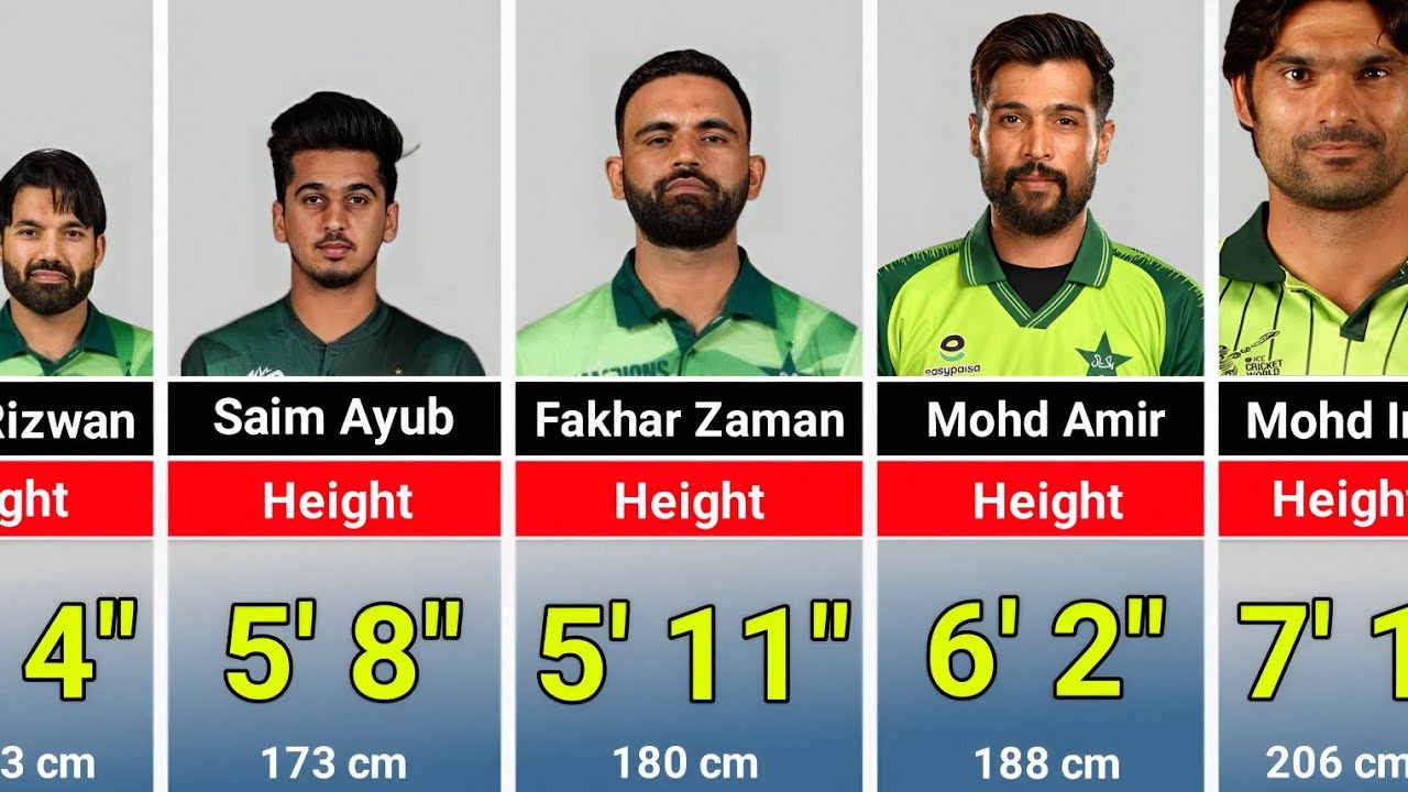 Height of  Pakistani Cricketers | Pakistani Cricketers Height | How Tall of Pakistani Cricketers 