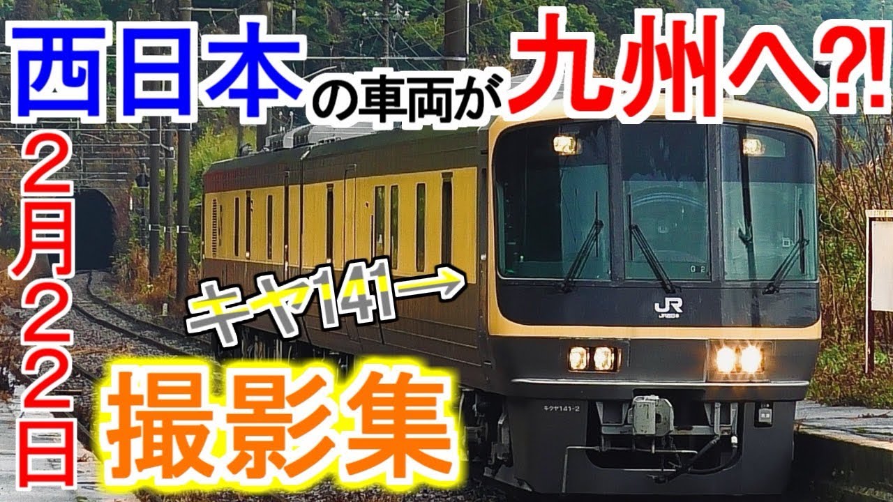 【珍しい車両が九州へ?!】猫の日に撮影しまくってみた