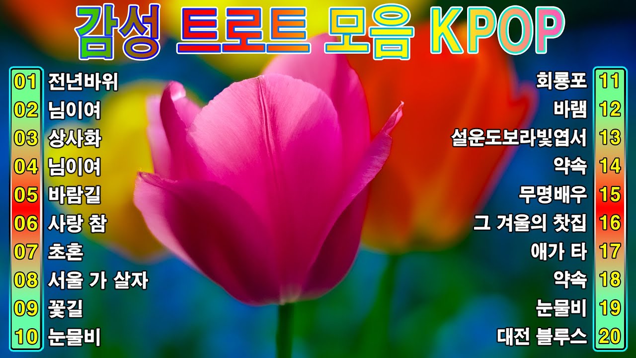 감성 트로트 모음 KPOP (TROT) PLAYLIST ☘️ ( 꽃길.상사화.여인의 눈물.회룡포.바람길...)2026 #Kpop