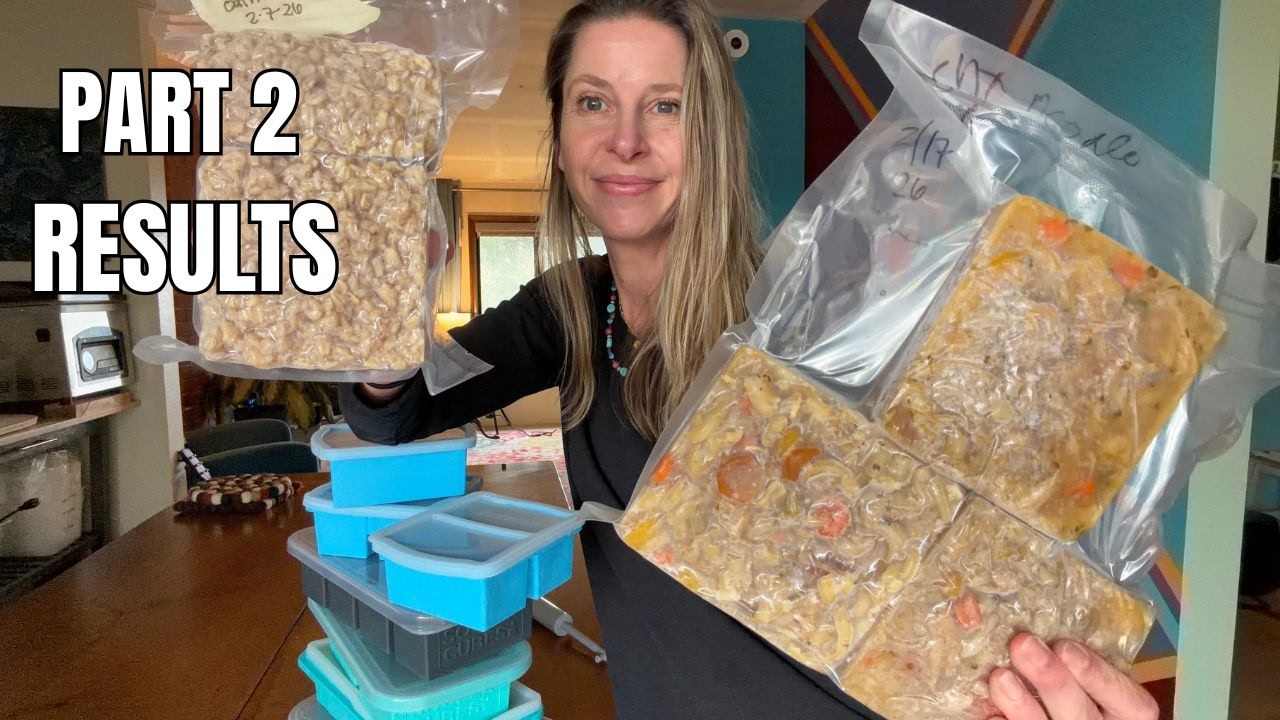 Souper Cubes vs Dupes (Part 2): Storage & Test Results