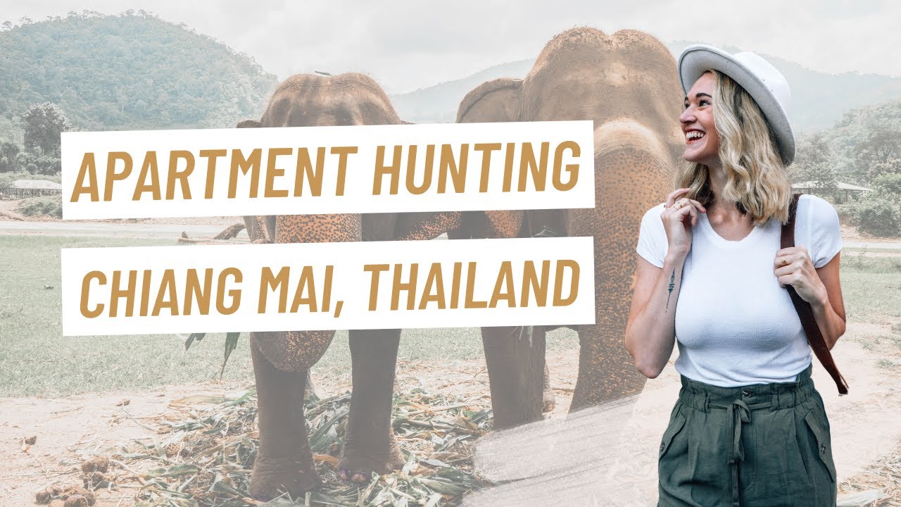 Apartment Hunting Chiang Mai Thailand as a Digital Nomad