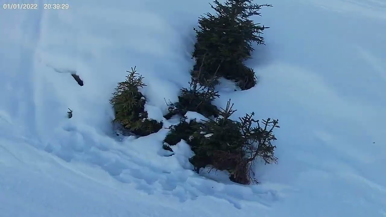 2026 AltaBadia Sol 03