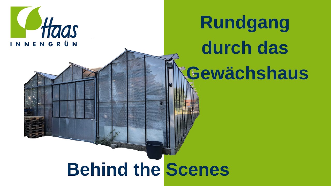 Rundgang durch das Gewächshaus. Kleiner Einblick in unser Lager für Blumentöpfe und Pflanzen