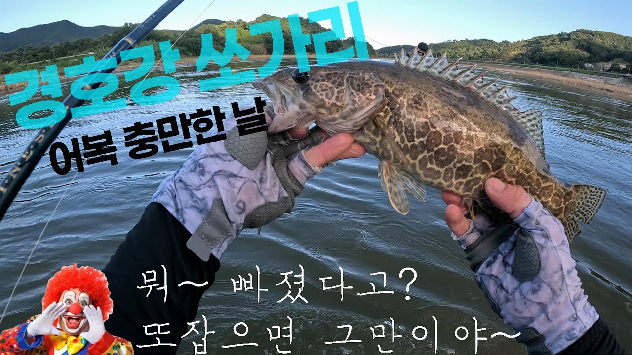 7월 끝자락 경호강전투낚시