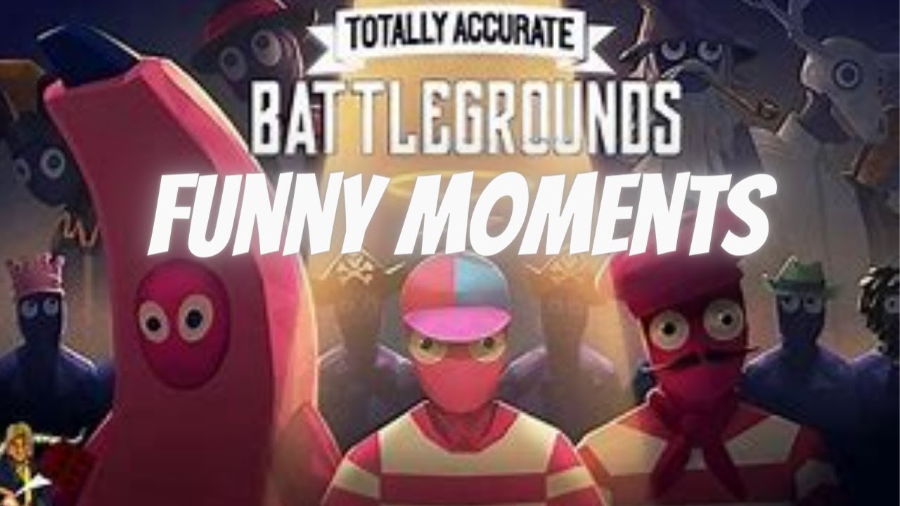 Totally Accurate Battlegrounds Funny Moments
