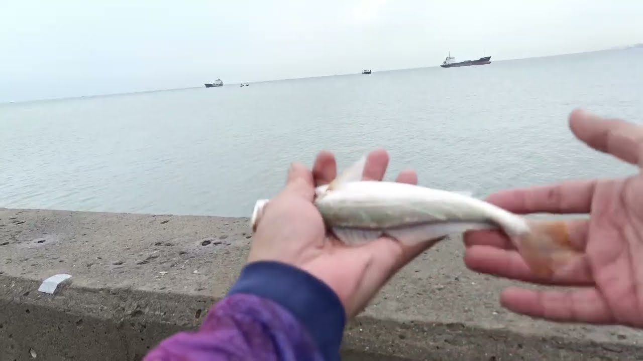 Muarabaru super gacor!!! dicuaca tak bersahabat malah full strike @Liengshang_fishing_chanel 