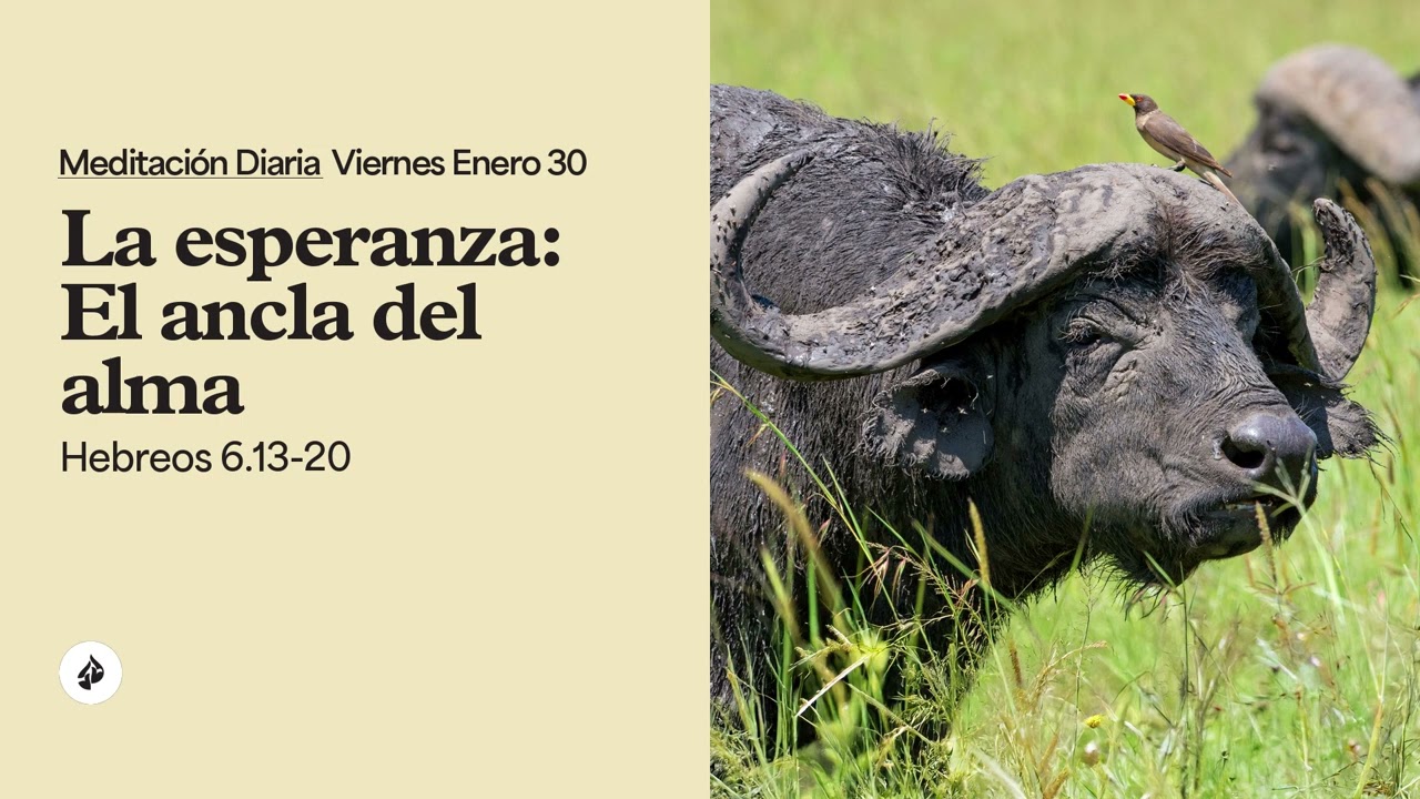 La esperanza: El ancla del alma – Meditación Diaria