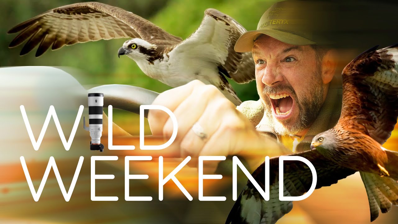 Wild Weekend - Wildlife photo & video road trip