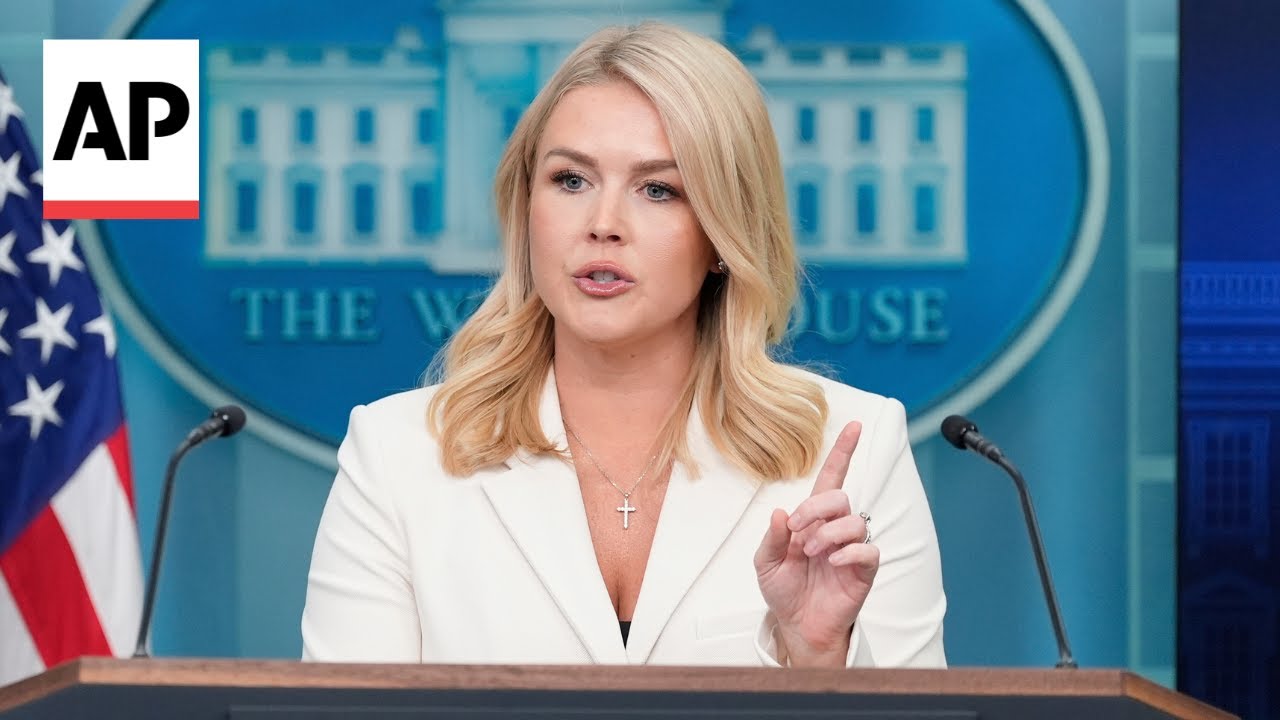 ‘Boys will be boys': Karoline Leavitt on Elon Musk and Peter Navarro's feud