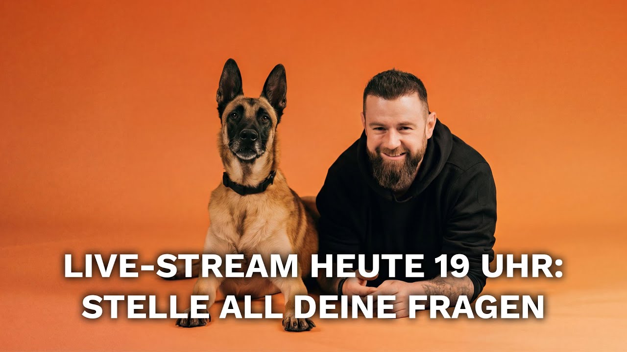 Livestream mit André Vogt - Stelle all deine Fragen