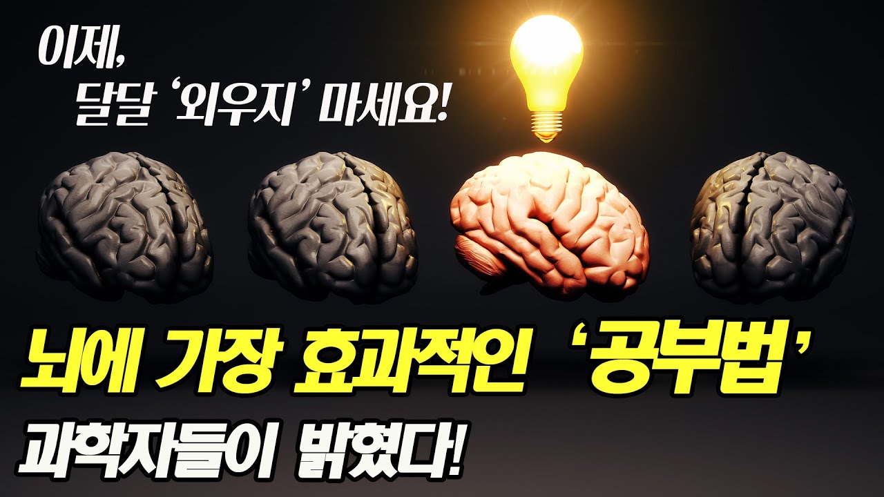 반드시 이걸 먼저 배우고, 공부 시작하세요 I 인지심리학자 정경훈 교수 I 백년공부법