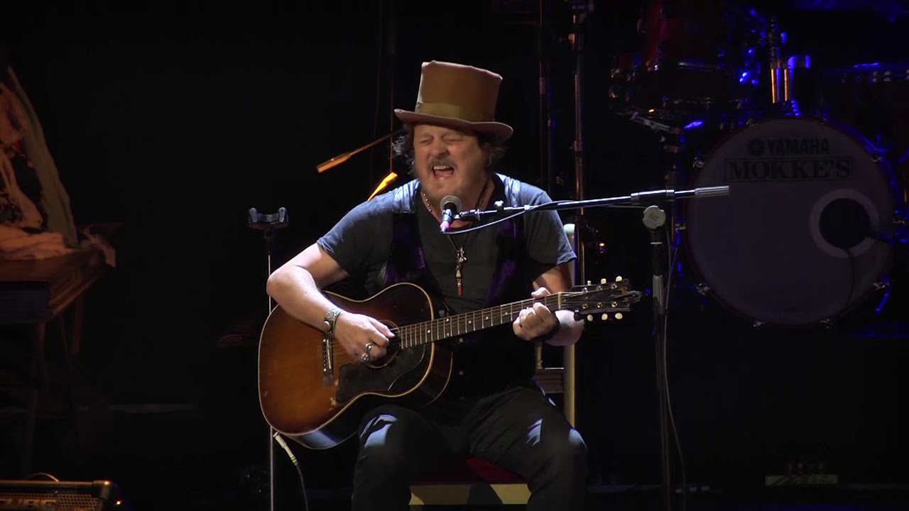 Zucchero - Dune Mosse (live) Premio Tenco 2018