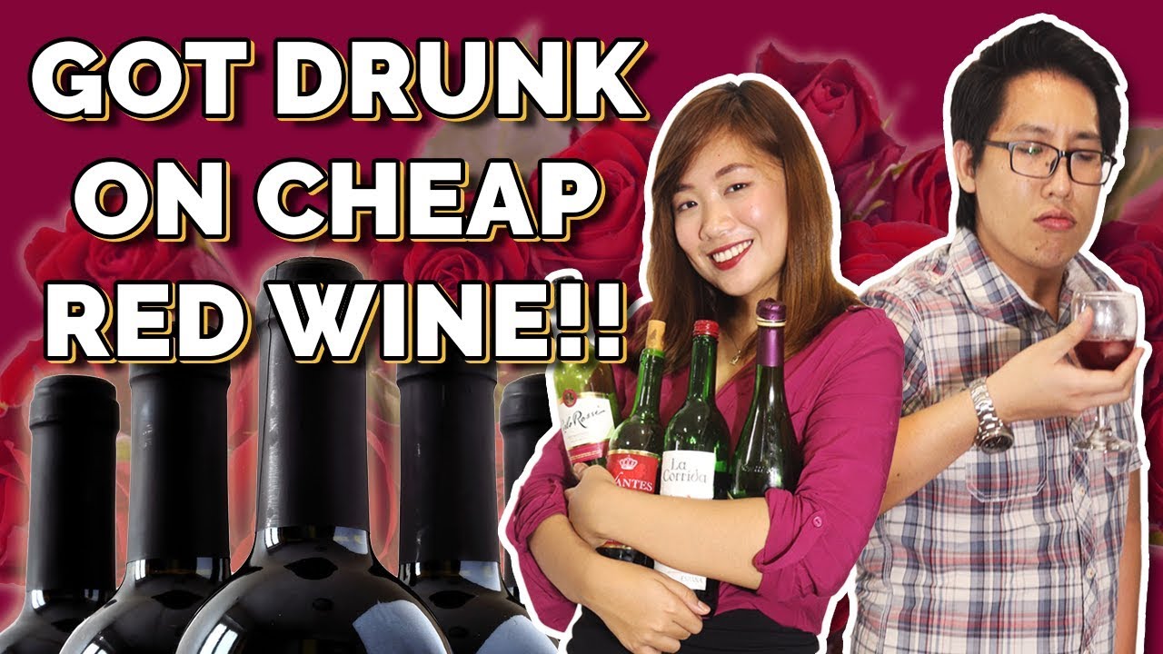 CHEAP RED WINE REVIEW!!! WE DRANK SO MUCH WTF