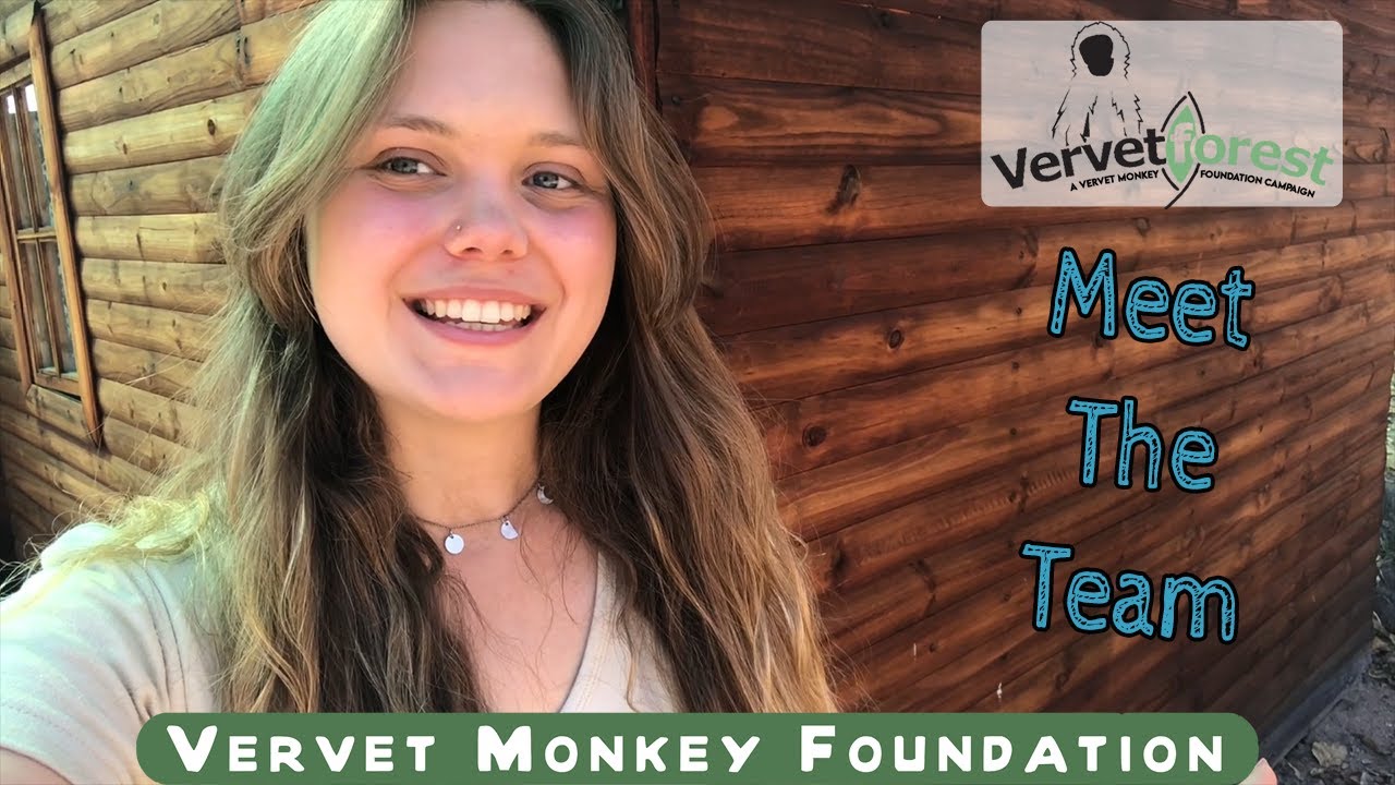 Meet some of the amazing team responsible for the day to day running of the Vervet Monkey Foundation