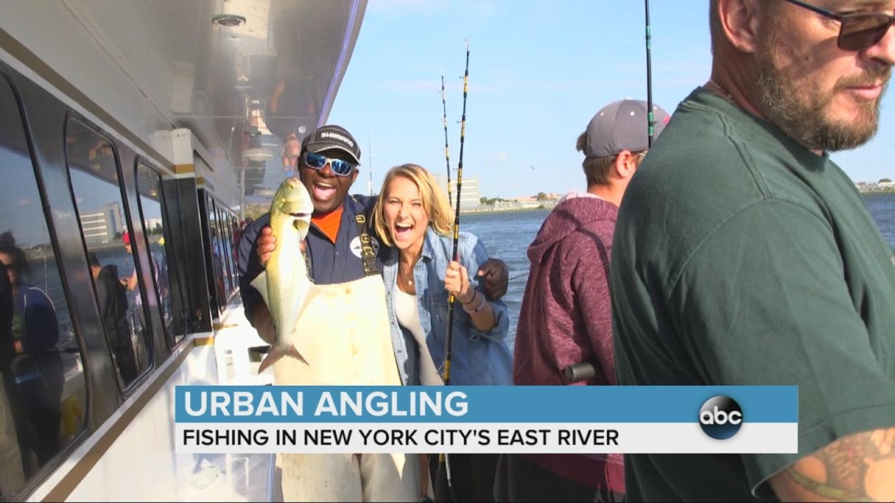 Urban Angling: Fishing on the East River | ABC News