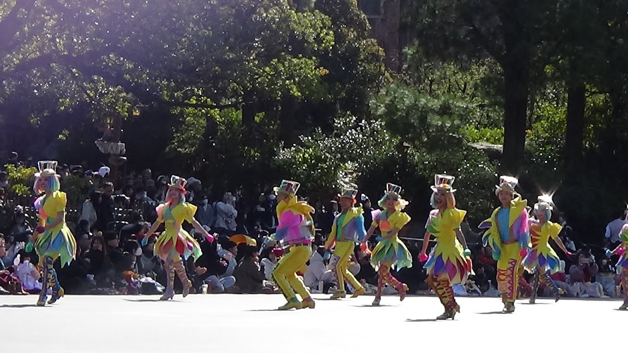 TDL  ディズニー・ハーモニー・イン・カラー  2025/2/15