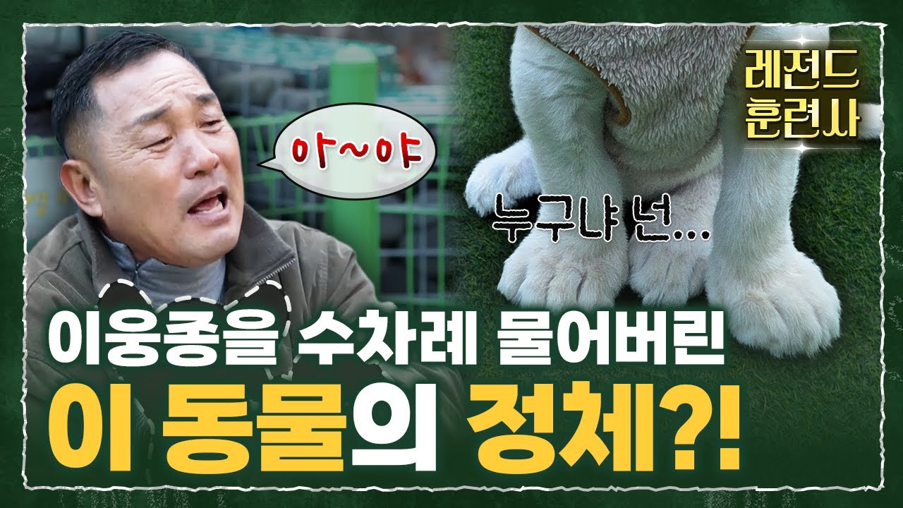 결국 물리고 말았습니다 ㄷㄷ (이웅종 인생 최대 위기)