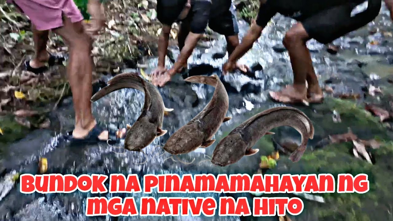 Bundok sa perez quezon pinamamahayan ng mga native na hito