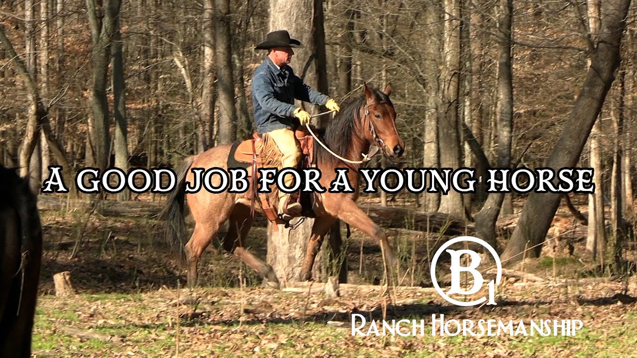 A Good Job For a Young Horse Part 1 Preview