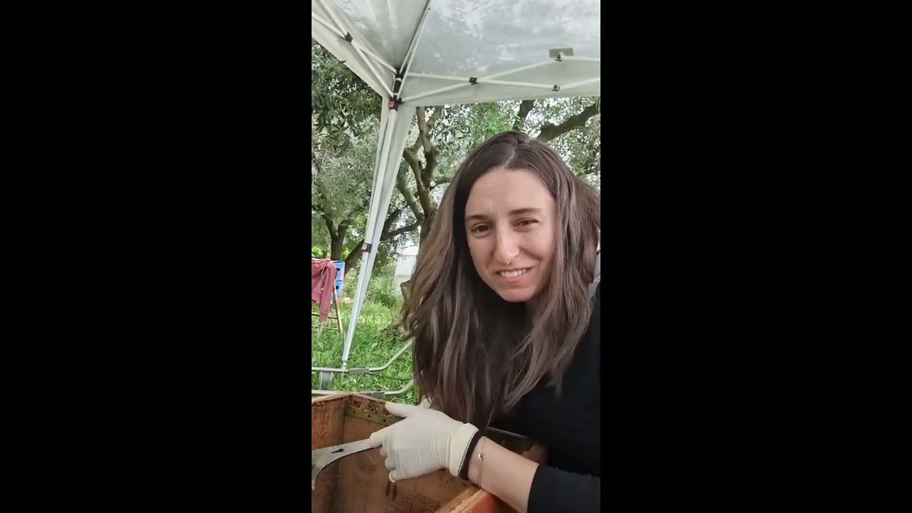 Pulizia delle arnie apicoltura Coconta