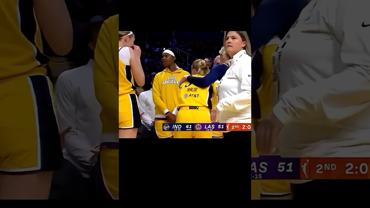 WNBA Female toy struck player on the leg causing injury 🤣#nba #wnba #trump