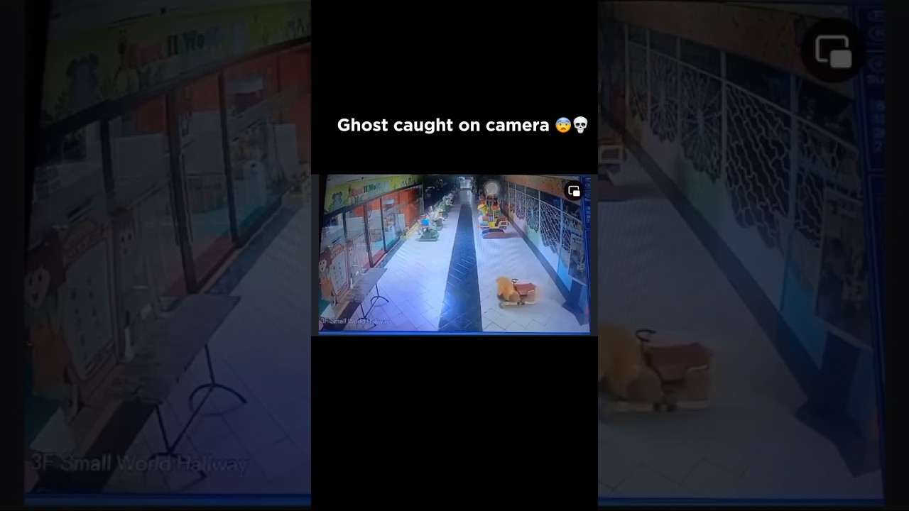 Paranormal activity caught on camera 😨💀 #horror #horrorstories #ghostcaught #paranormalactivity