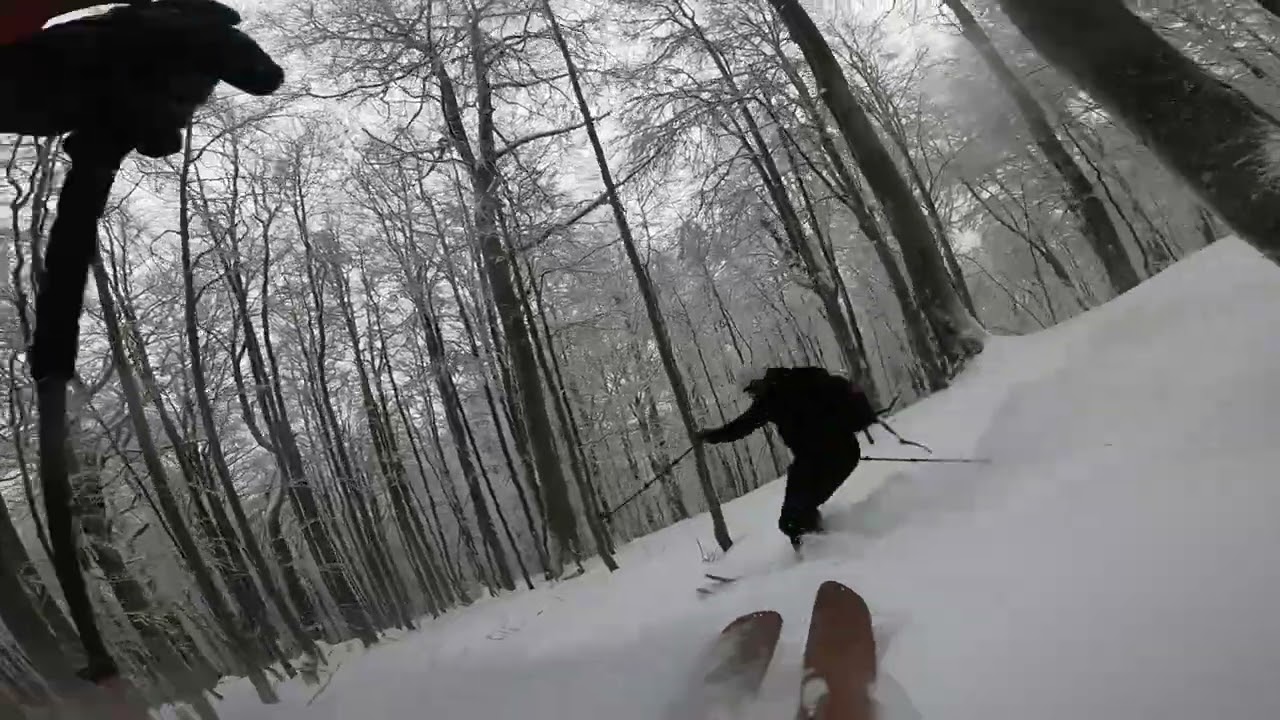 Mała Rawka - freeride w lesie, bieszczady