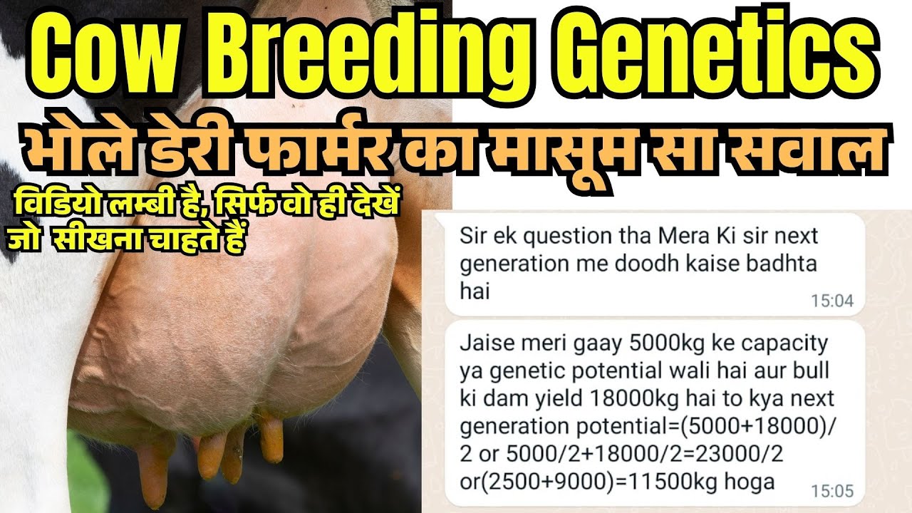 Genetic Improvement in Cows | ब्रीडिंग से अगली नस्ल के दूध उत्पादन में सुधार Ali Veterinary Wisdom