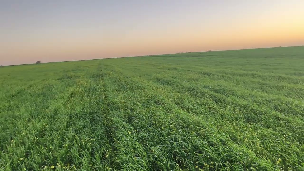 0661467850الارض هكتار ونصف محفظة نواحي جماعة طوالع ابن سليمان 
