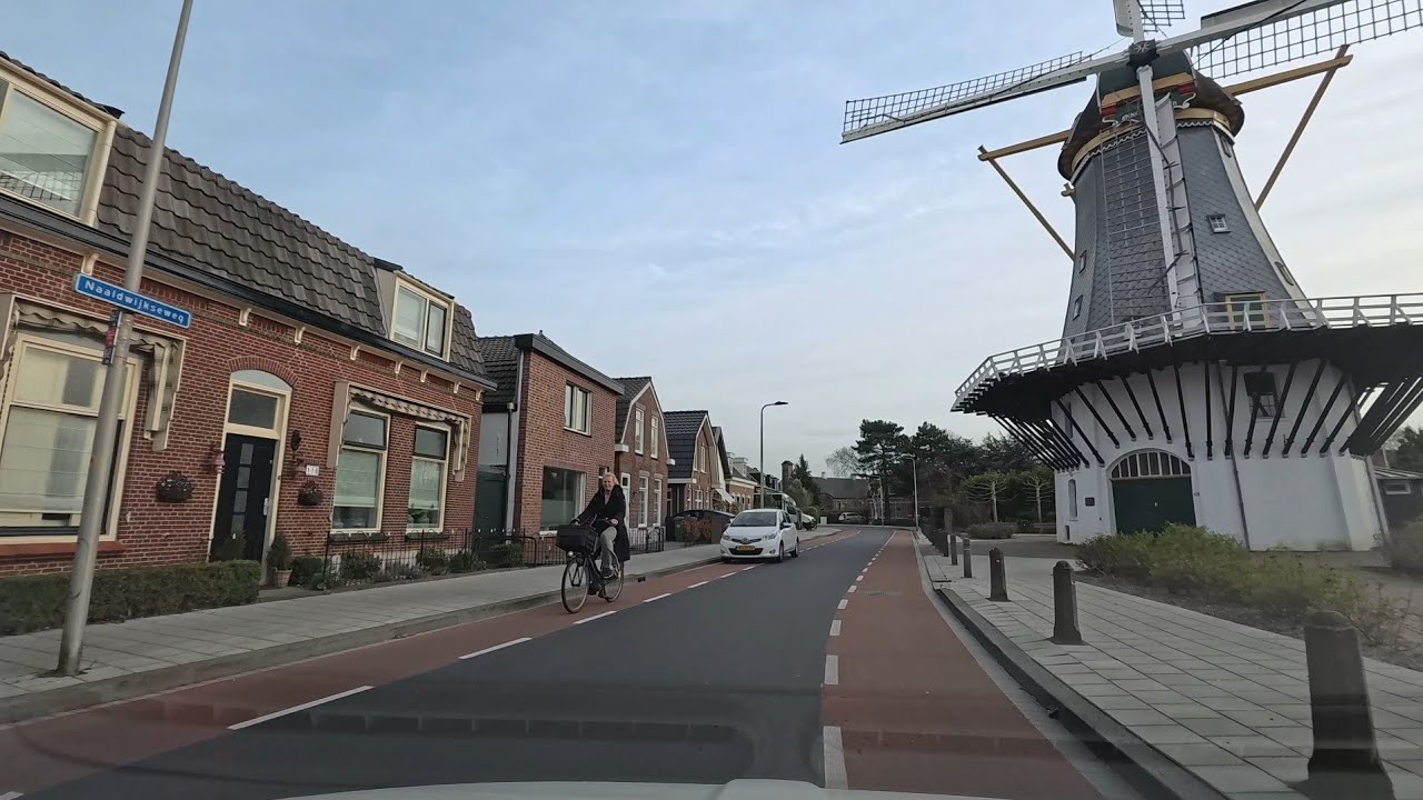 The Hague to Hoek van Holland Scenic Drive | Monster & s'Gravenzande | Daffodils in Bloom | 4K 60FPS