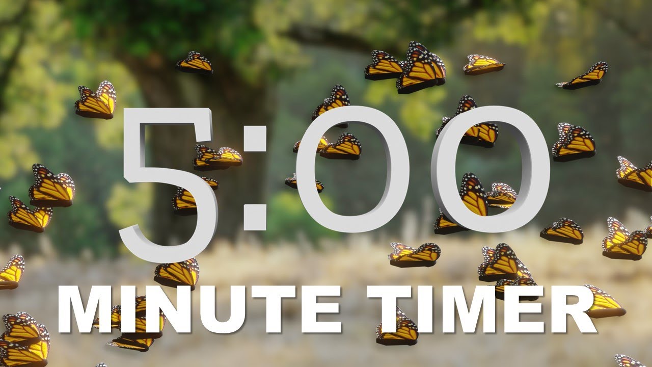Butterfly 5 Minute Timer