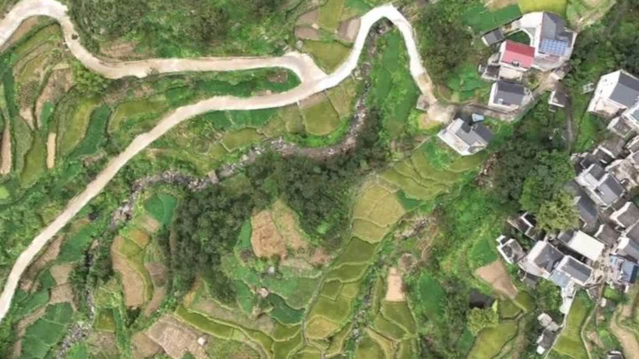 【乡村振兴系列宣传片】产业发展 振兴之基（下）