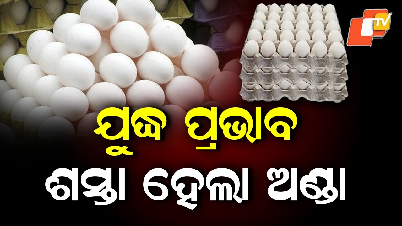 Egg Prices Drop in Balasore Despite War-Driven Inflation