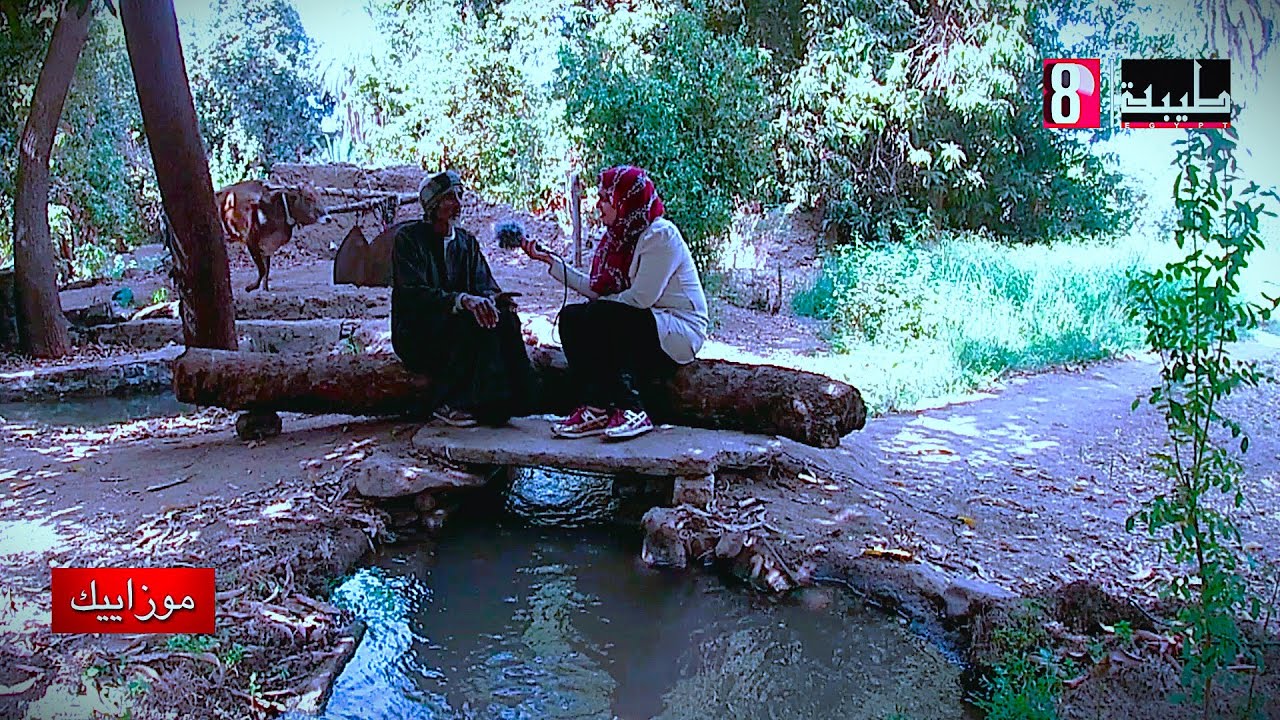 الساقيه تراث الزراعة الذى نعيش به