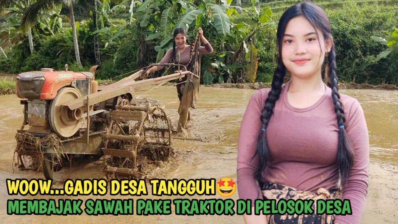 WOOW IDAMAN SEMUA PRIA😂‼️NENG YULI GADIS DESA CANTIK MEMBAJAK SAWAH PAKAI TRAKTOR