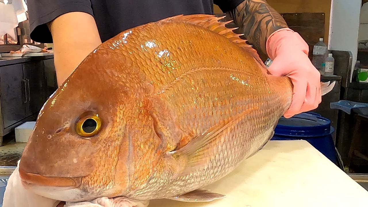 Taiwanese Street Food嘉鱲(真鯛)生魚片 - Red sea bream Sashimi