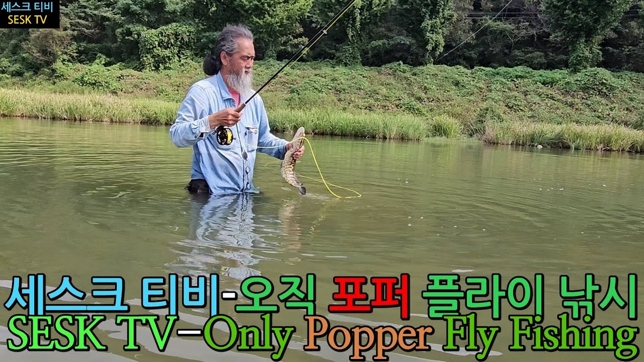 세스크 티비-오직 포퍼 플라이 낚시