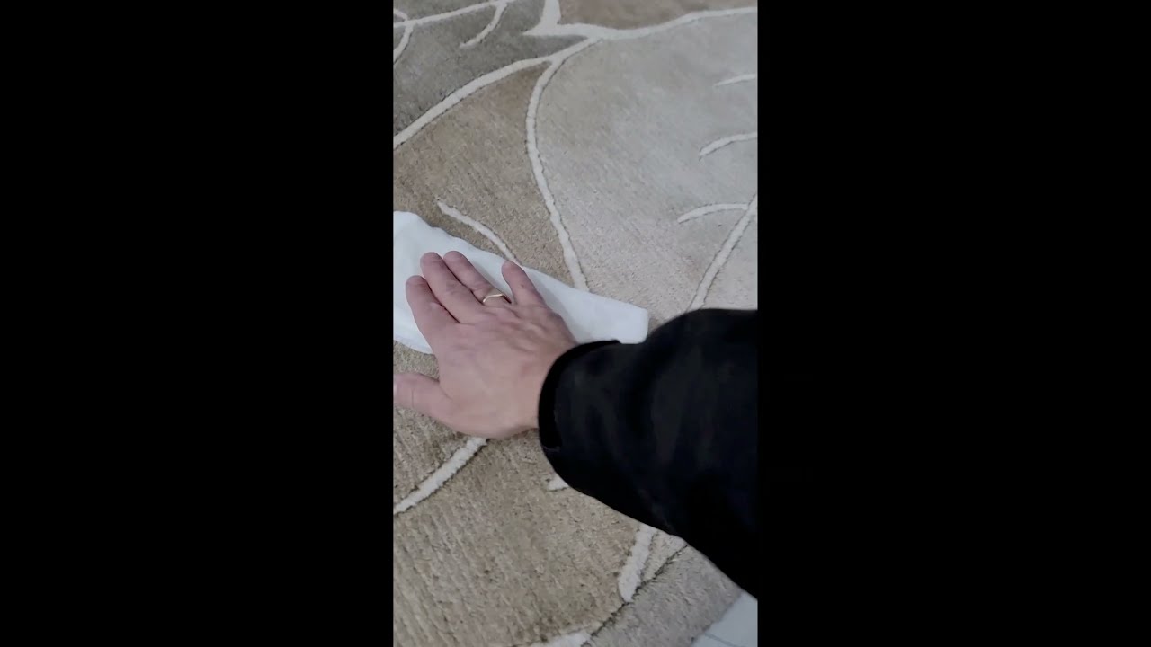 NEW Area Rug cleaning machine