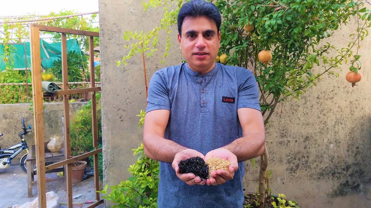 How to Make Black Gold for Your Soil | Organic Agricultural Technologies Horticulture
