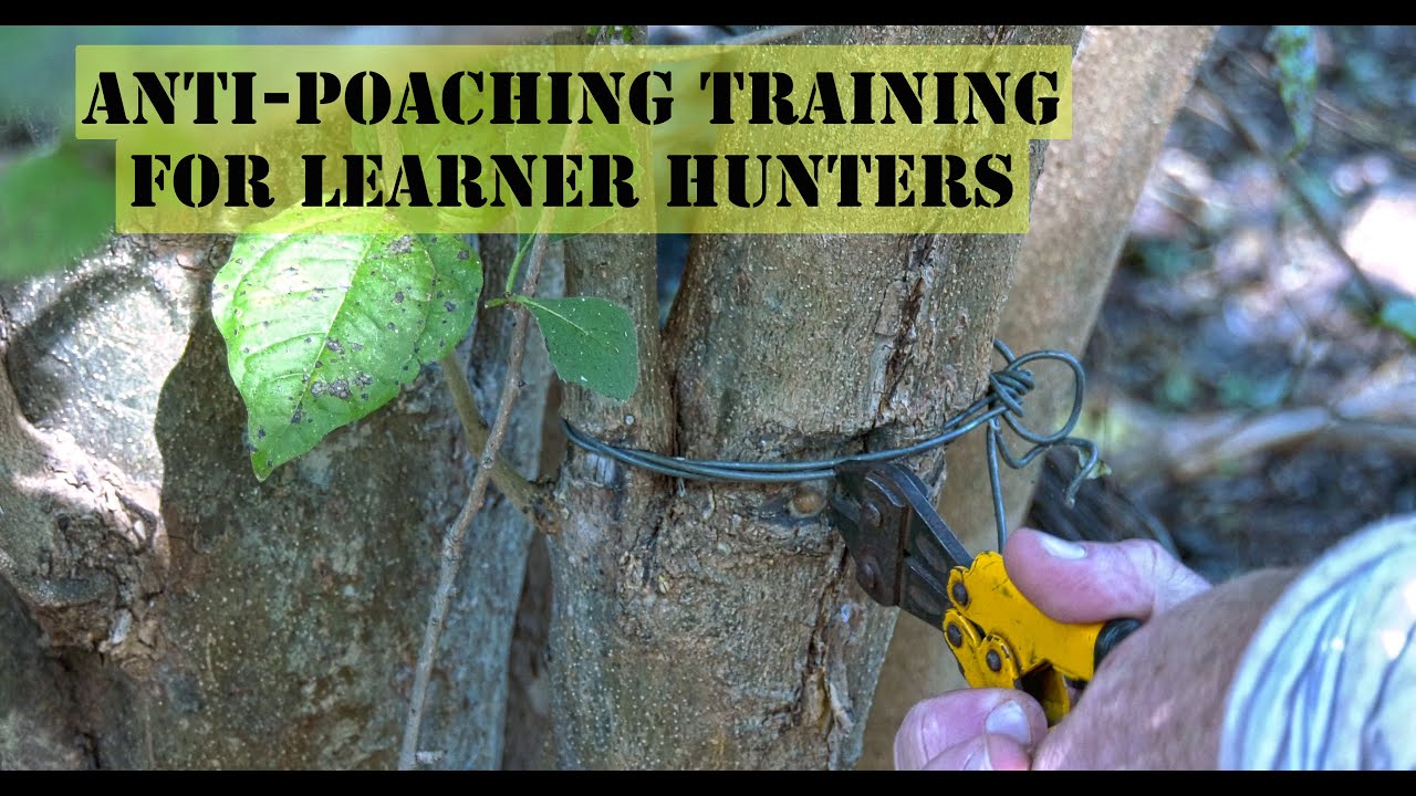 Anti-Poaching Training for Learner Hunters