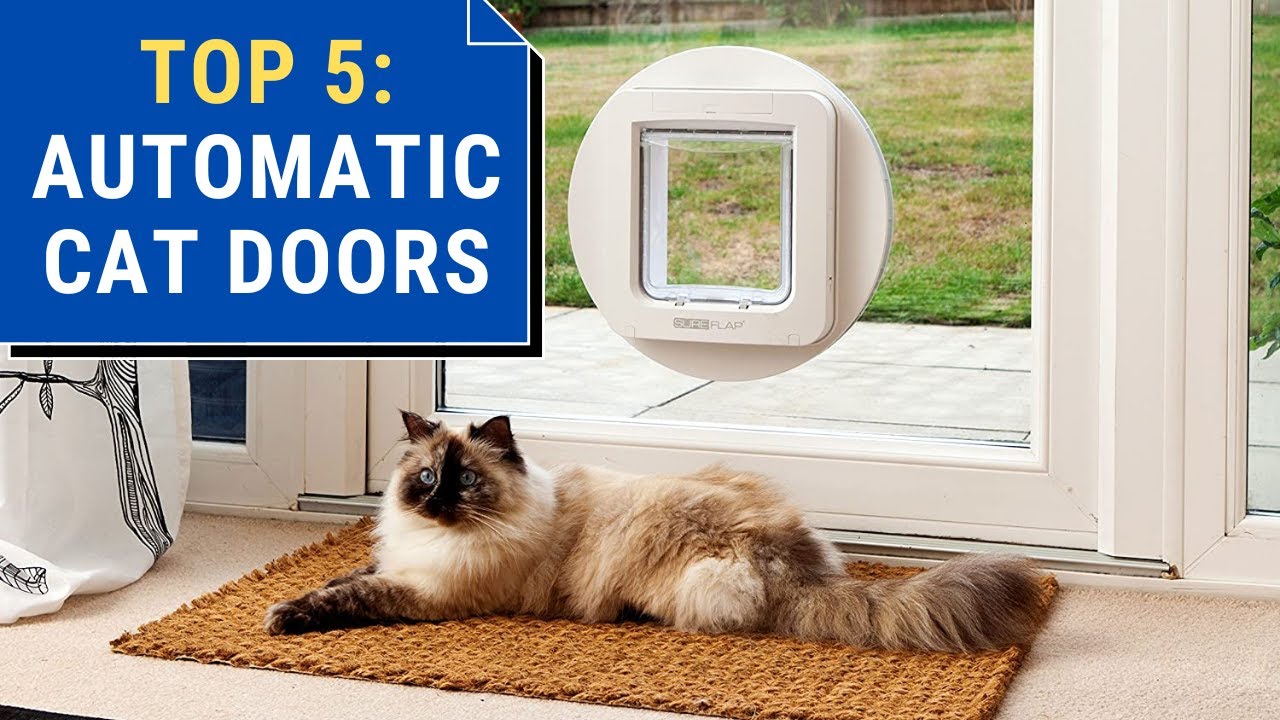 Top 5 Best Automatic Cat Doors || Cat Door Reviews for 2026