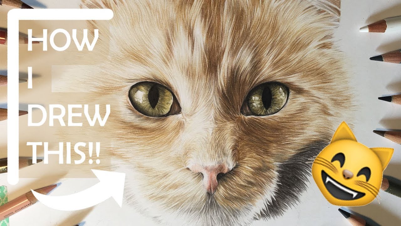 How to Draw a Ginger Cat !