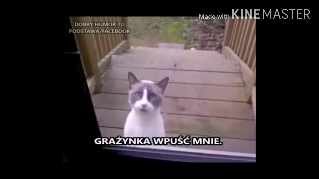 Grażyna wpuść mnie !! 🤣😂