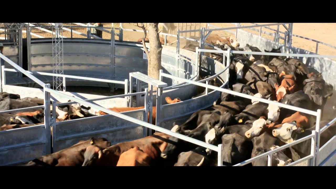 Instalación completa en Telares, Santiago del Estero - FARMQUIP ARGENTINA