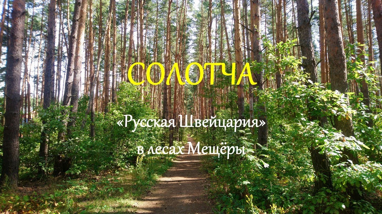 Солотча. 
