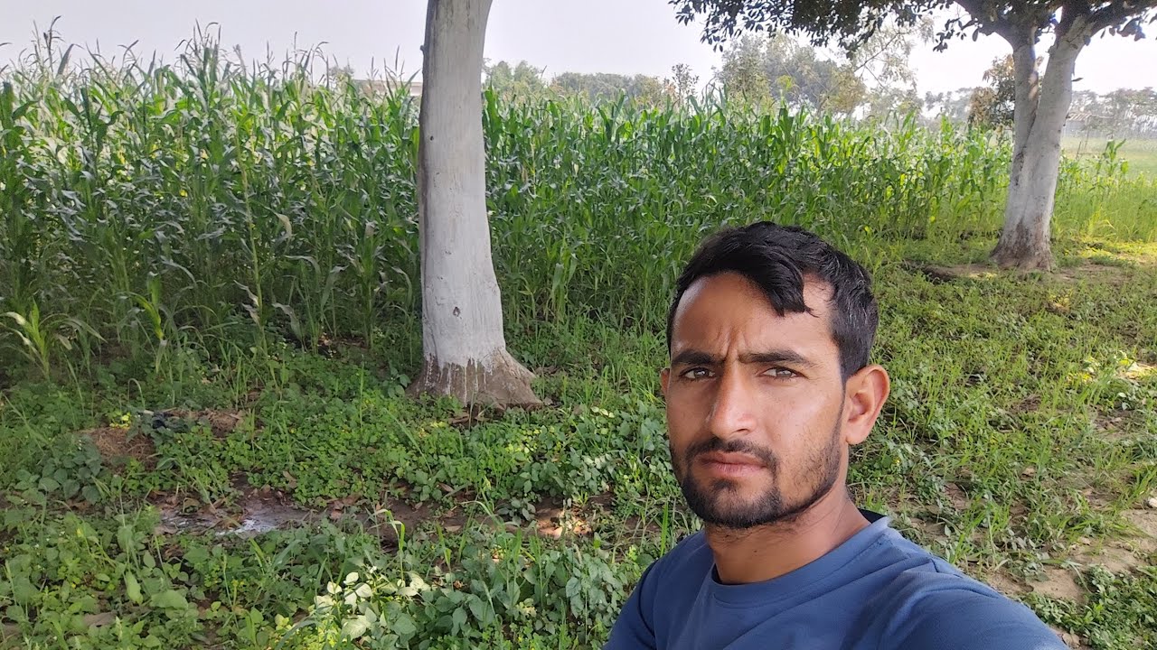 All Vlog Video 1000  is live#liveenjoy#tranding