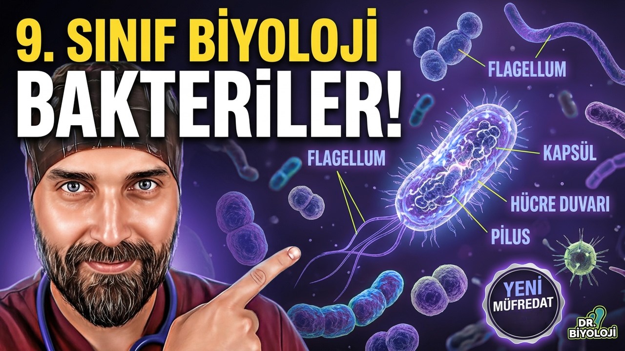 7. Ders: Bakteriler | Dr. Biyoloji 9. Sınıf Yeni Müfredat